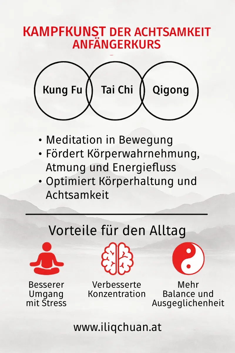 Tai Chi, Kung Fu & Qigong Einstiegskurs - die Essenz der Künste in einem Anfängerkurs