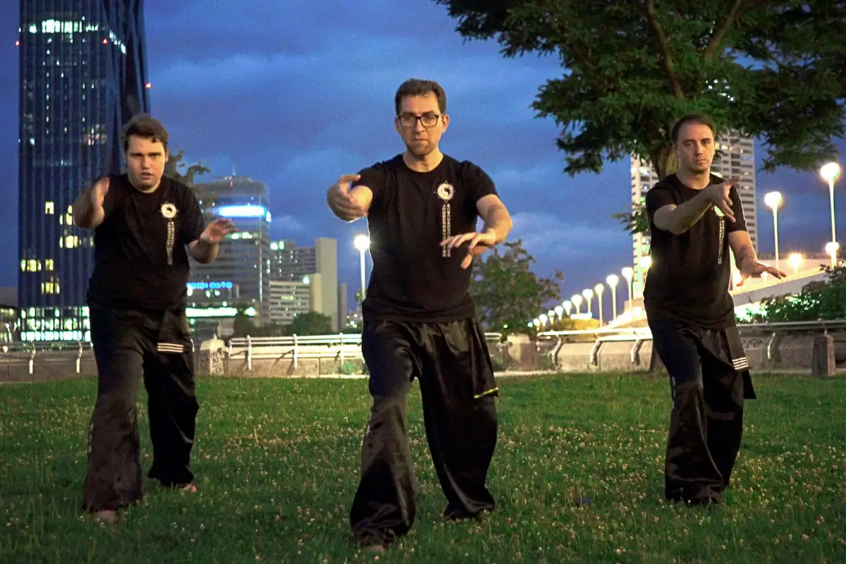 Tai Chi Wien - Taiji Training auf der Donauinsel