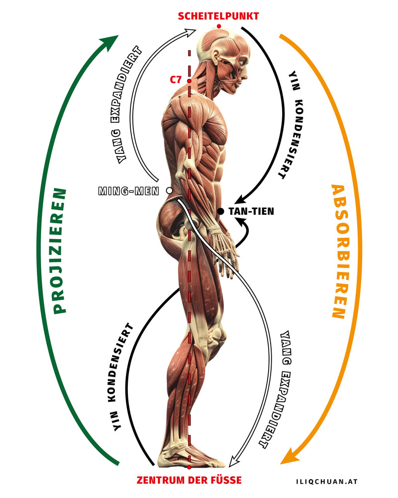 Diagramm zum Energiefluss beim Absorbieren und Projizieren sowie Kondensieren und Expandieren im I Liq Chuan